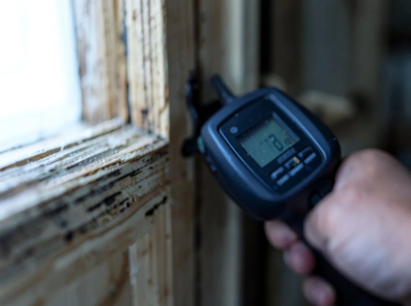 Moisture Inspection And Documentation in Mckenzie, TN